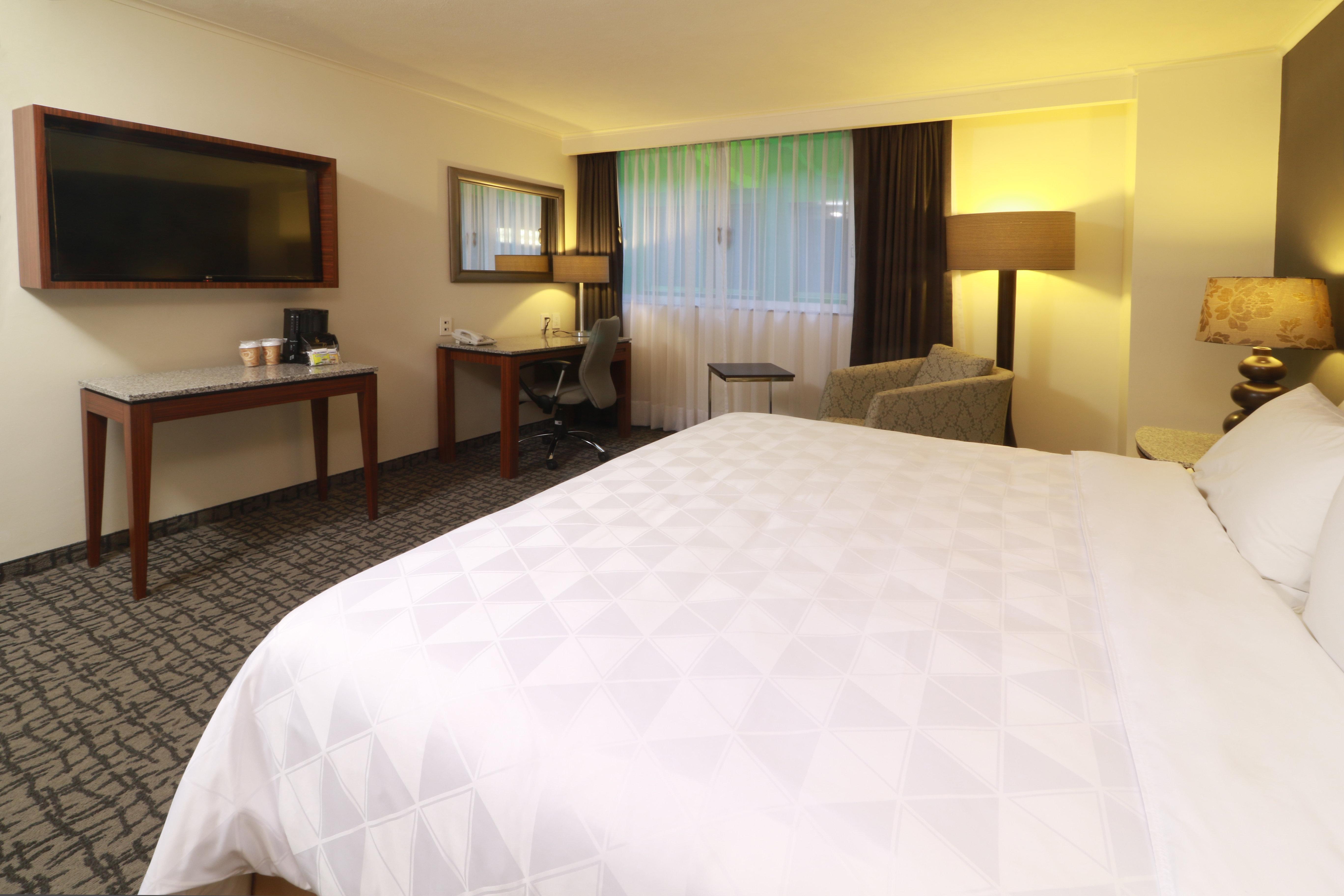 Holiday Inn Mexico City - Trade Center By Ihg Kültér fotó